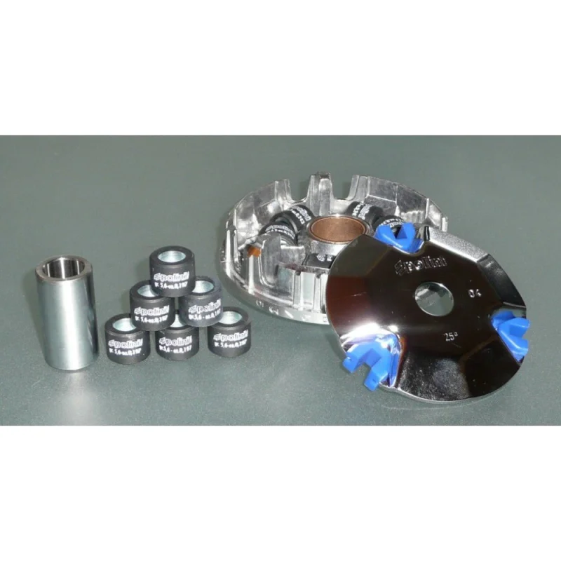 Polini variator ruckus
