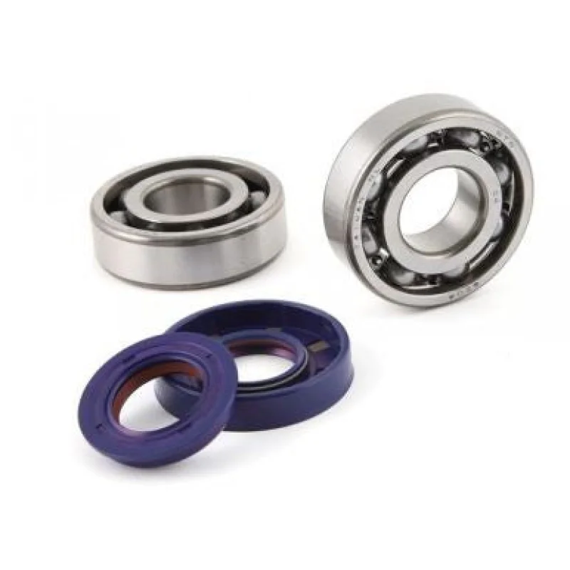Polini Crankshaft Bearings + Oil Seals ZUMA